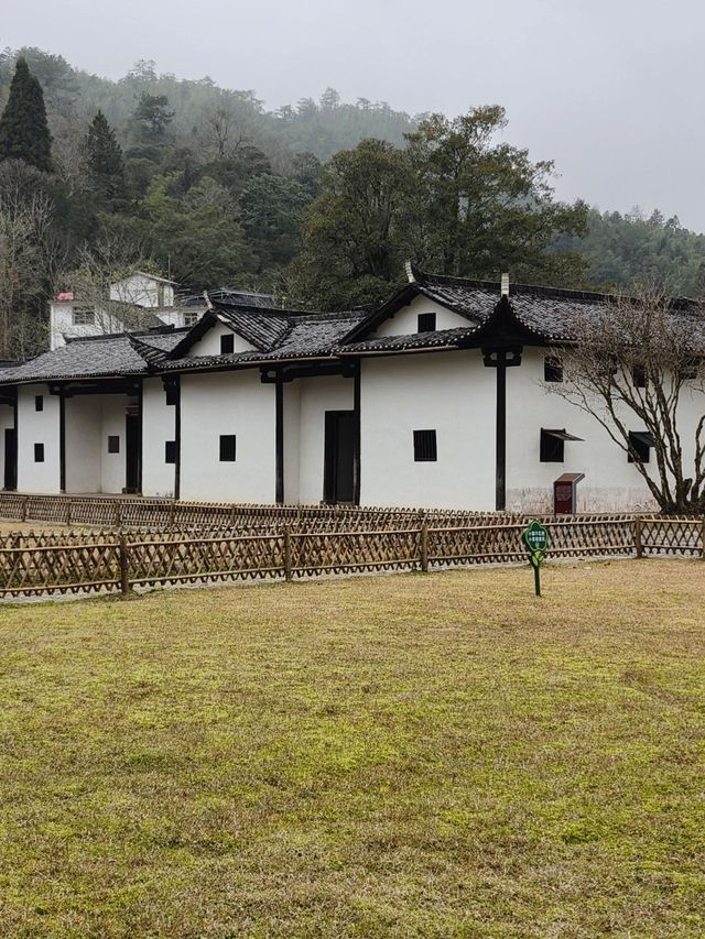 跨年遊吉安 美景不容錯過