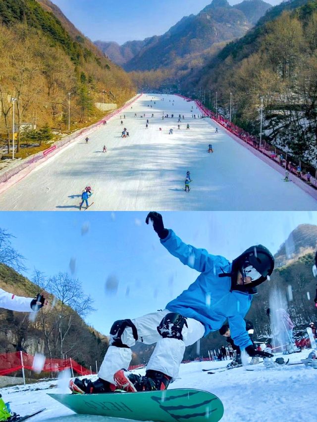 這價格令我震驚 這價格令我震驚