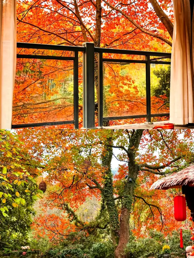 Rivaling Kyoto! Stunning Hot Springs with Red Leaves in Jiangsu, Zhejiang, and Shanghai