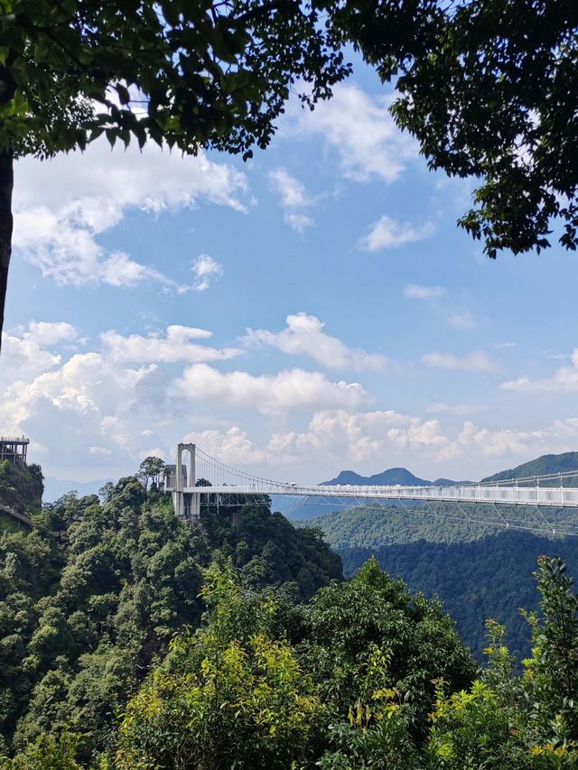 贛州三百山景區