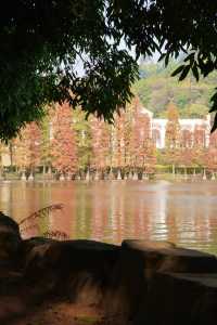 佛山三水森林公園