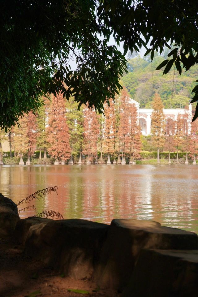 佛山三水森林公園