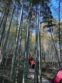 安吉當地人多次遊覽的古道