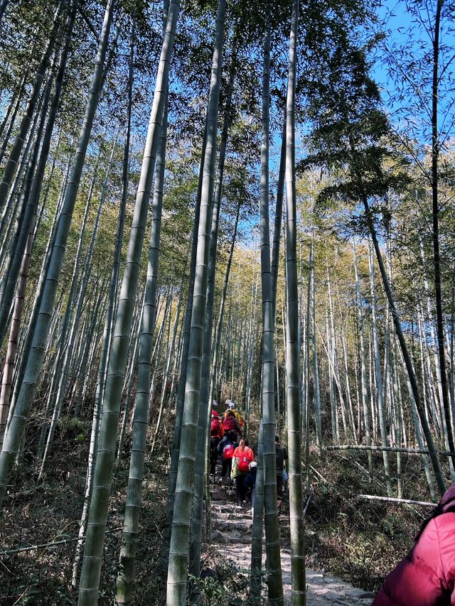 安吉當地人多次遊覽的古道
