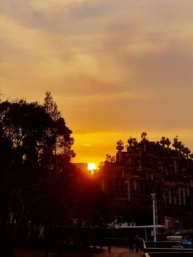 在千樹的夕陽中,重拾人與自然的和諧共生 在千樹的夕陽中,重拾人與自然的和諧共生