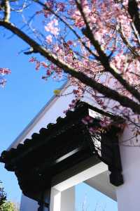 住騰沖要泡真溫泉｜騰沖瑪御谷悅椿酒店