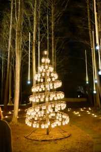 Experience the Magic of Christmas at Karuizawa Kogen Church