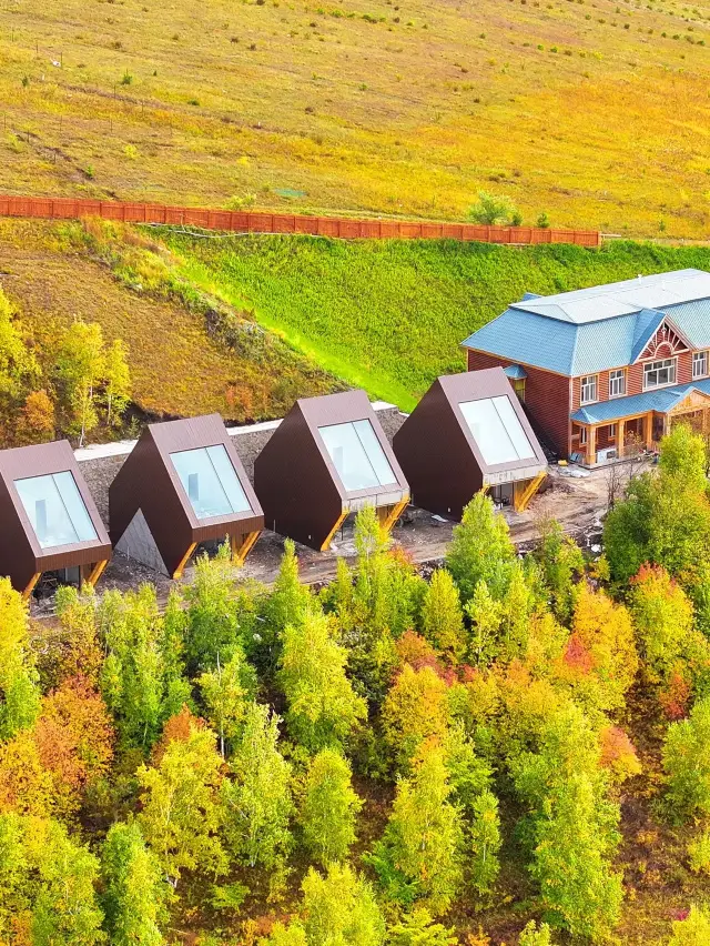 寒假去哈爾濱等地玩雪 超詳細攻略快收藏