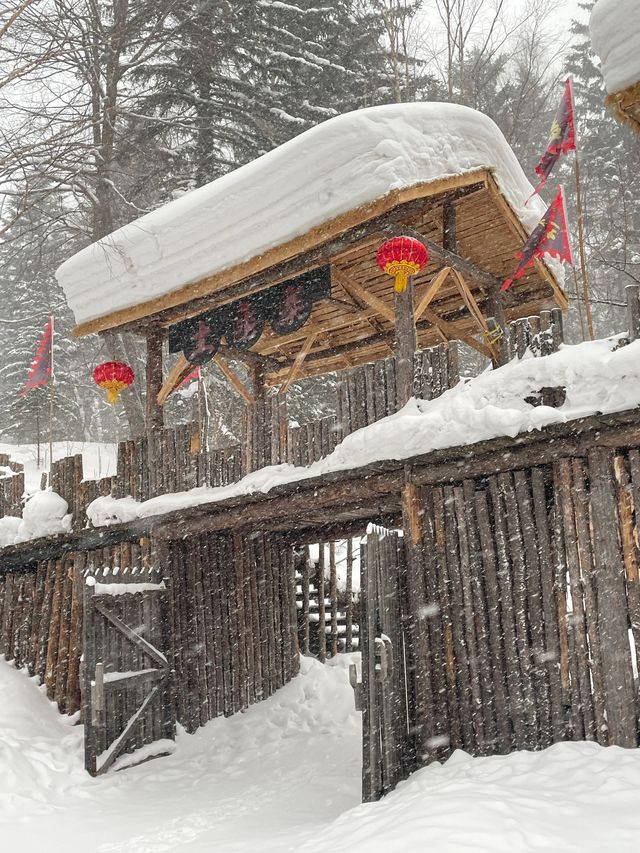 哈爾濱-雪鄉滑雪看這篇就夠別再去錯地方了