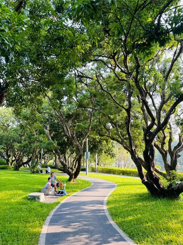 被這個公園治癒…周末遛娃 散步必逛四海公園