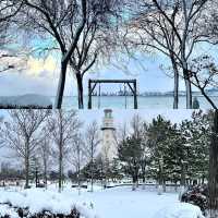在海邊看雪景！！！威海真是太合適啦！！！