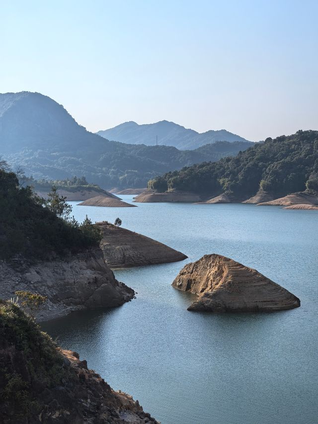 陸河南告水庫賞梅