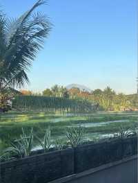 梭羅別墅度假村 | 放鬆稻田間美景