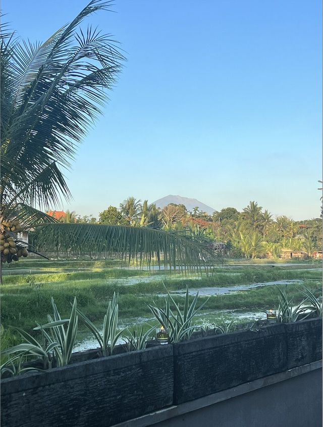 梭羅別墅度假村 | 放鬆稻田間美景