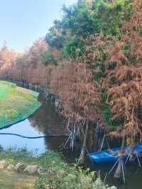 蛇年添喜慶一一東山湖公園！