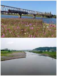 日本大分旅遊詳細攻略
