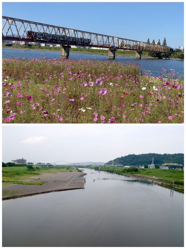 日本大分旅遊詳細攻略