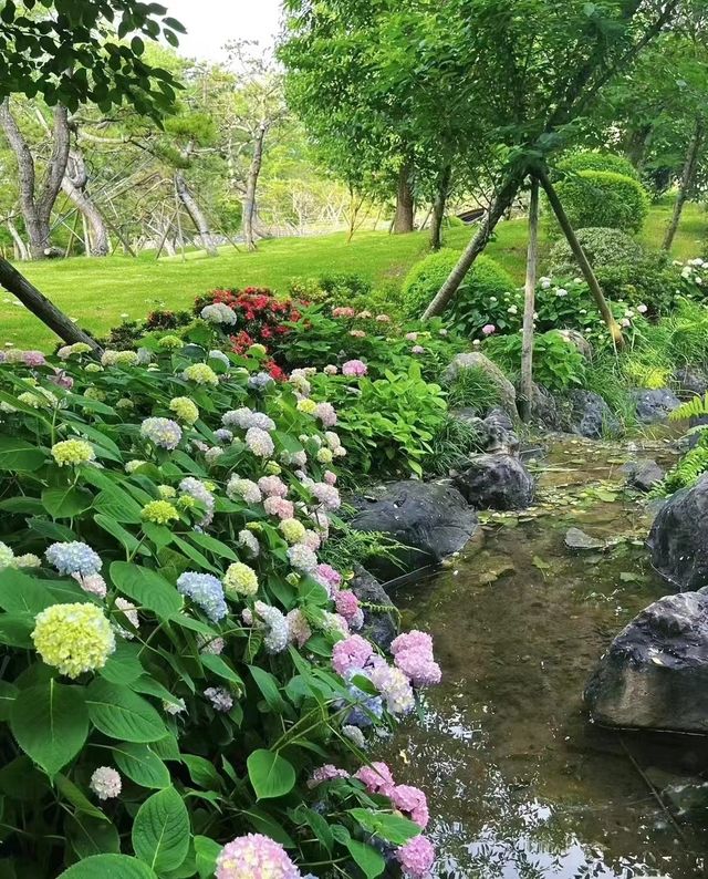 適合秋季旅遊地～荊州淺山森林美術園