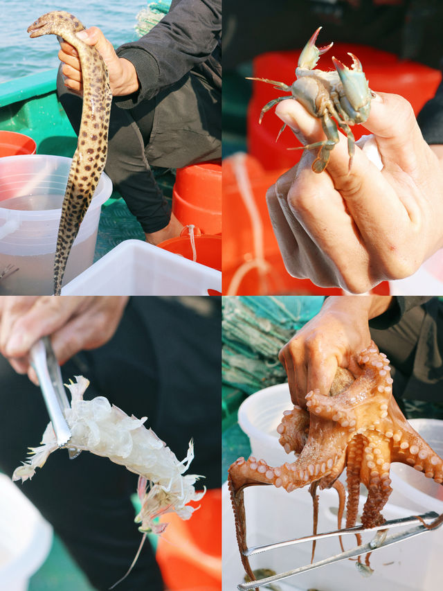 陵水出海｜海南一場特別的親子體驗