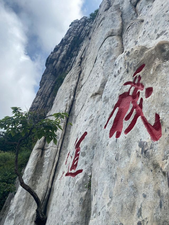 寒假探秘洛陽龍門石窟-白馬寺 解鎖歷史的千年之謎