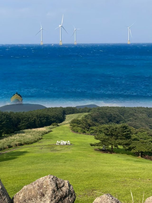 濟州島超全懶人旅遊攻略，照著玩就對了！！！