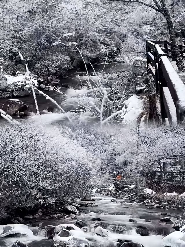 我發四真的有被木格措的雪後景色驚艷到了