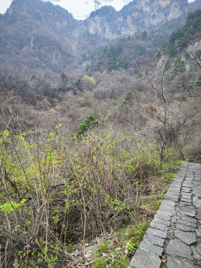 河南青龍峽邂逅綠野仙蹤
