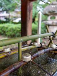 福井小眾景點推薦，感受別樣旅行