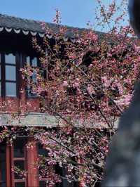 蘇州8座小眾園林的春和景明附賞花遊路線