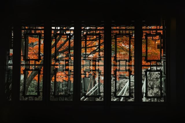 蘇州春日之旅—運河文化與城牆漫步