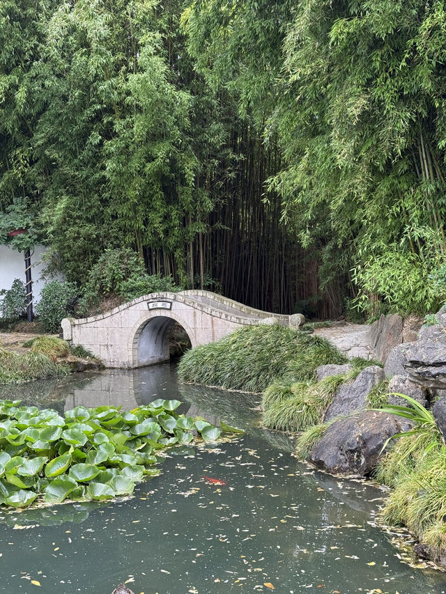 Worlds of Wonder At Hamilton Gardens, You Can’t Miss this!