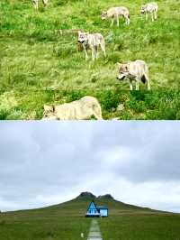 《狼圖騰》影視拍攝基地：草原上的狼性