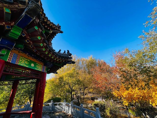 通遼吃住行旅遊攻略
