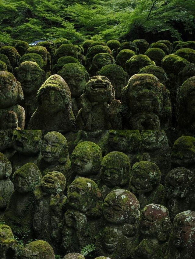遍地表情包，這大概是京都最可愛的寺廟！