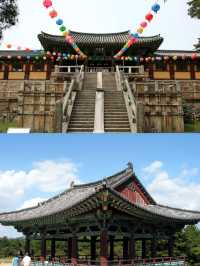 安東市的介紹