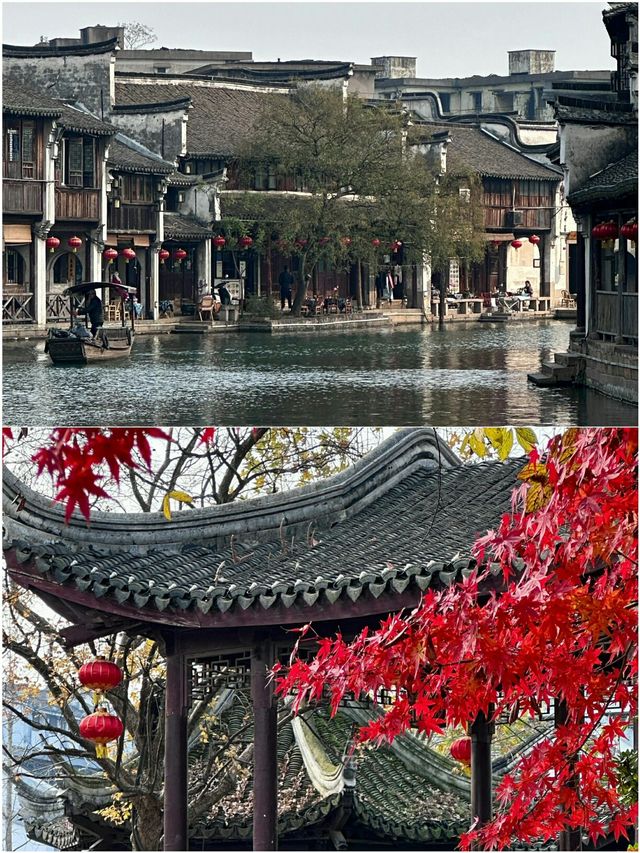放棄烏鎮了 我更愛這裡