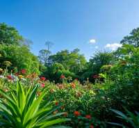 闖入莫奈花園的夏日奇遇｜武漢植物園保姆級避世指南