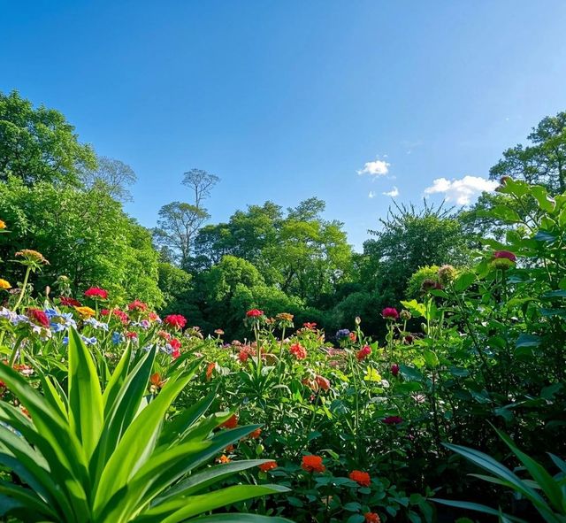 闖入莫奈花園的夏日奇遇｜武漢植物園保姆級避世指南