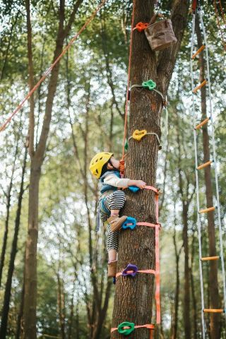 Sichuan | Weekend Tree Climbing Camp | Book a group of 15 or more