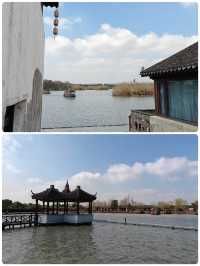 沙家浜，江南水鄉的「紅綠交響詩」！