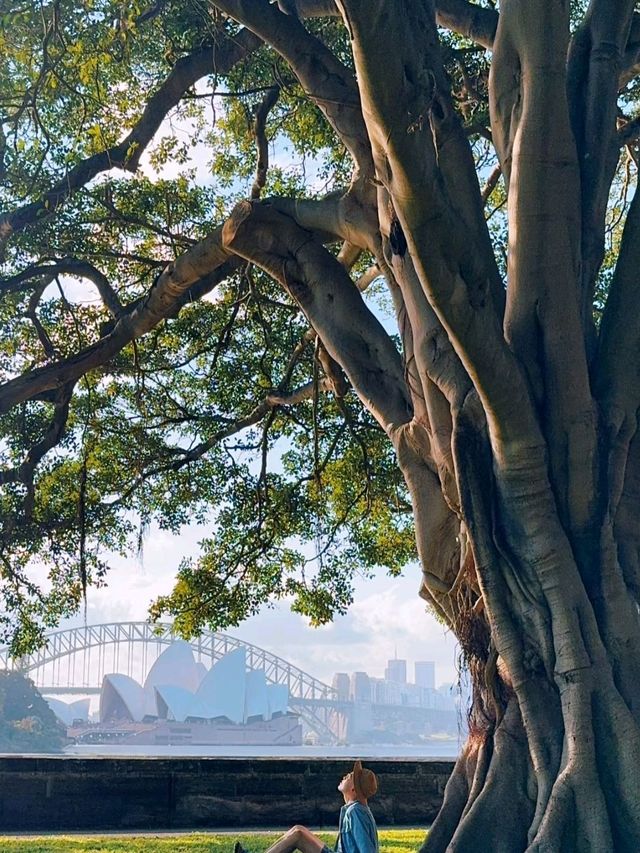 Cremorne Point Wharf is such a Vibe✨❤️😍