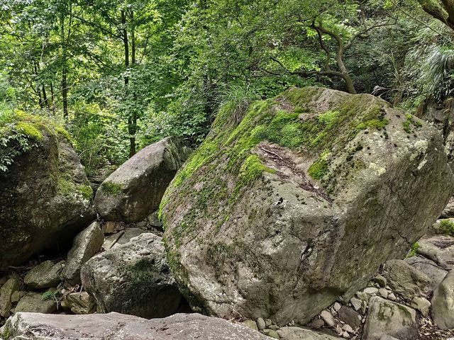 Wulong Pond and Waterfalls – A Hidden Gem in Ningbo! 🌿💧