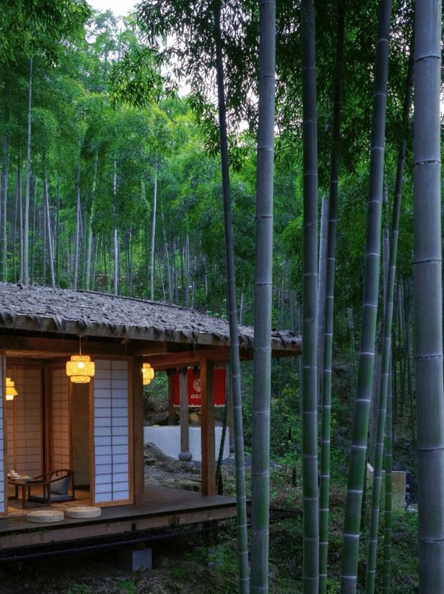 春日山居美學·無法對安吉民宿祛魅。