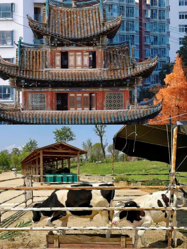 個舊怎麼玩，請直接複製這條路線。