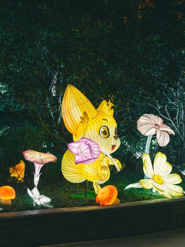 華東5市－烏鎮6天遊超詳細行程不看後悔
