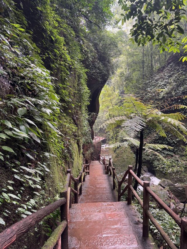 清明小長假 遵義等地旅遊攻略來啦別錯過