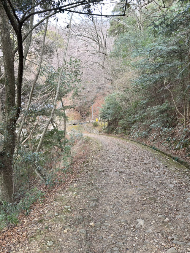 遠敷神社：奈良的隱藏瑰寶⛩️🌸