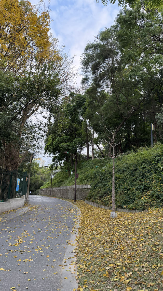 廣州博物館｜三小時觀展賞木棉懶人路線