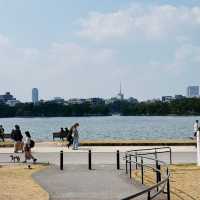 福岡大濠公園，被幸福擊中💕
