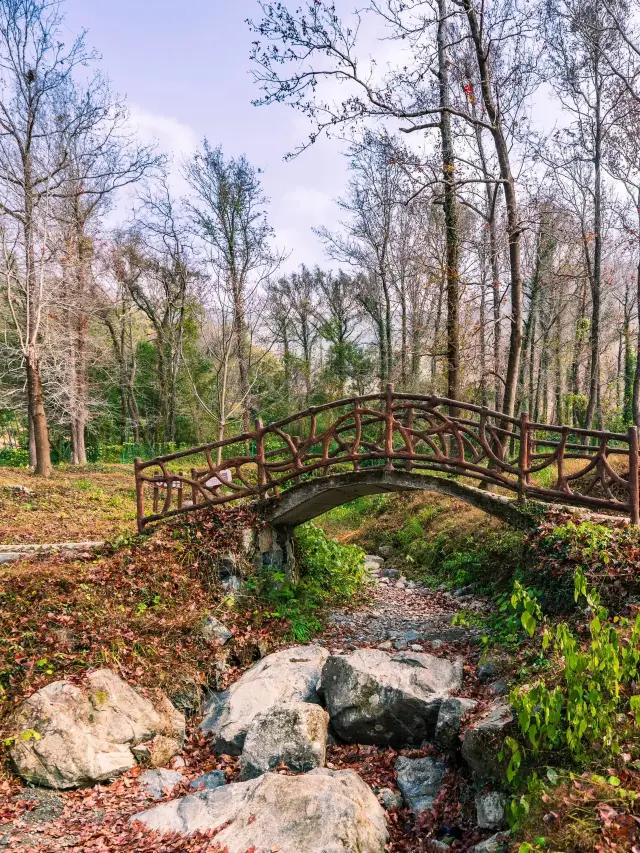 Ningde 3-Day Tour for Seniors: A Relaxing and Enjoyable Getaway